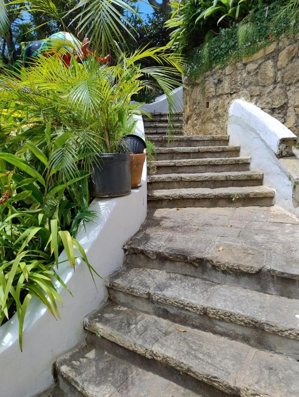 Raro Ipanema Boutique Hotel リオデジャネイロ エクステリア 写真